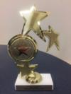 2013 Hillsborough County Council 3-Star award